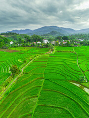 Beautiful morning view indonesia panorama landscape paddy fields with beauty color and sky natural light