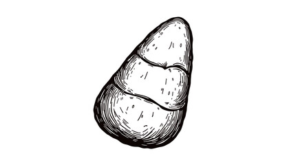 Hand-drawn candy corn illustration in black and white sketch style  