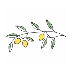 Yellow lemons on green leafy branch fruit
