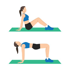 Reverse Plank Bridge Exercise. Flat vector illustration isolated on white background