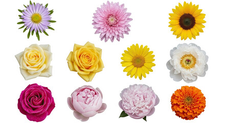 Ai generated image of a vibrant collection of diverse flowers isolated on white isolated on transparent background