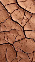 Dried earth's cracked texture