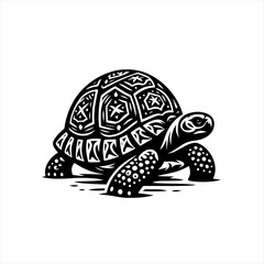 Turtle illustration isolated on white background