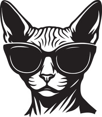 sphynx cat with sunglasses