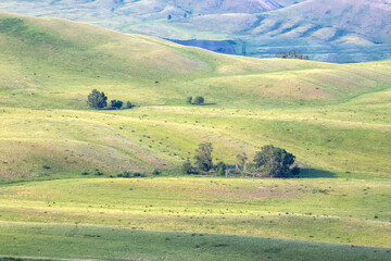 Hills stretching into the distance.