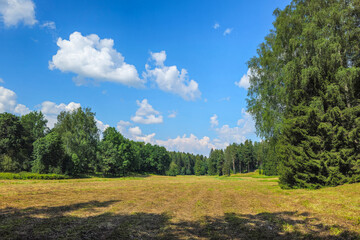 A wide field surrounded by forest.