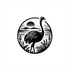 Ostrich in savanna isolated on white background