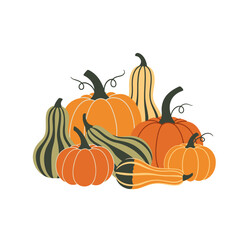 Autumn Harvest Pumpkins and Gourds Collection. Flat Vector Illustration of Fall Vegetables and Squash.