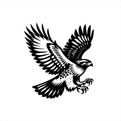 Fototapeta premium Hawk in flight isolated on white