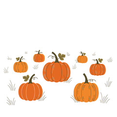 Vibrant Orange Pumpkins Scattered in a Field, Autumn Harvest Illustration