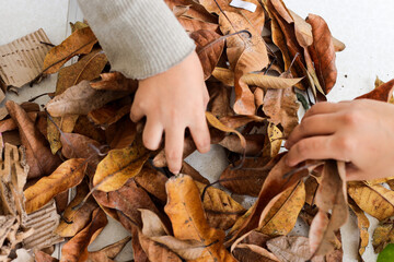 Hands Collecting Pile Of Dry Autumn Leaves For Composting Or Organic Waste