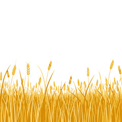 Golden Wheat Field Illustration on White Background © Moe