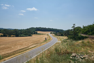Winding road on a sunny day crossing a field with trees in the background and a blue sky with clouds