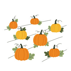 Vibrant Cartoon Pumpkins in Field Rows: Autumn Harvest Illustration