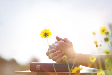 Christian praying with both hands together on the holy bible, beautiful sunny church with yellow flower field background
