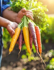 A handful of vibrant rainbow carrots—in shades of deep purple, orange, yellow, and white—rests in dirt-smeared male hands, freshly pulled from the garden soil. 
