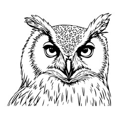 Eagle owl vector portrait, a wild animal illustration for tattoo design or mascot