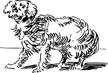 Vintage Dog Illustration in Black and White
