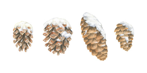 A set of Pine Cones covered with Snow. Watercolor illustration of a Christmas tree winter decor. Hand drawn vintage sketch on white isolated background. Water color painting clip art image