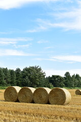麦稈ロールのある風景