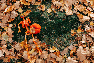 halloween autumn frame. Orange skeleton on moss in a frame of autumn leaves. 
