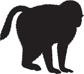  Gelada Monkey in silhouette image white background pure.
