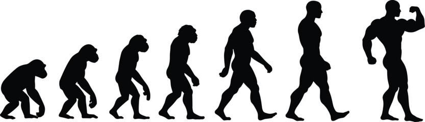 Obraz premium Evolution of Man from Ape to Muscular Human Silhouette Illustrating Progress, Strength, Fitness, and Human Development Concepts for Science and Health.