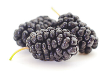 Mulberries fruit  isolated.