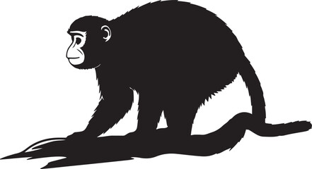 Guereza Monkey in silhouette image white backgrpound.