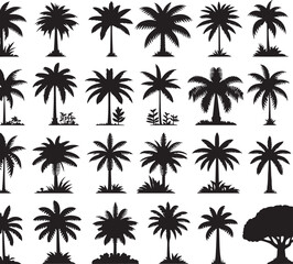 Palm tree silhouettes on a tropical summer landscape with beach and nature elements