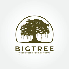 Ancient Tree Illustration in Vintage Style Vector illustration design
