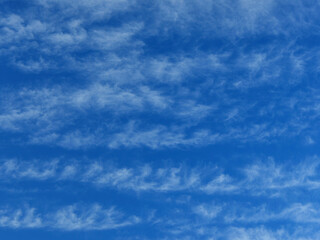 Cirrostratus and cirrocumulus clouds in the intense blue sky