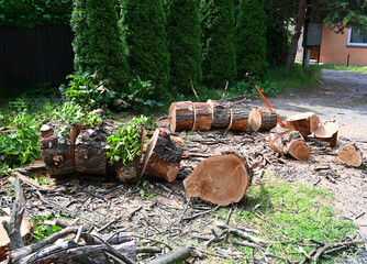 Cut tree logs laying on the ground near a house with green foliage in a residential area