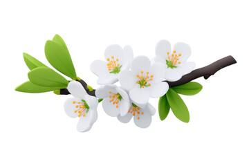 Obraz premium Blooming white cherry blossom branch nature floral studio close-up. Isolated on transparent background, png.