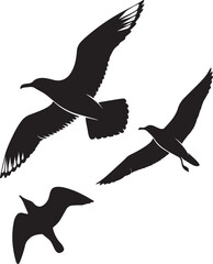 Fototapeta premium Artistic silhouette of seagulls in flight against the sky, featuring the word 