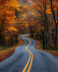 Autumnal Road Winding Through Vibrant Forest, Scenic Drive, Fall Foliage, Yellow Lines, Colorful Trees