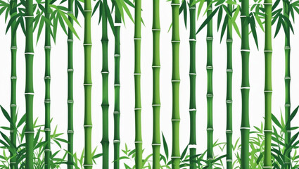 Green Bamboo Forest Grove Background