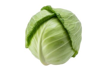 Fresh green cabbage head vegetable healthy