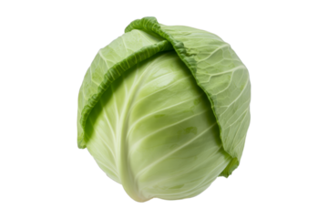 Fresh green cabbage head vegetable healthy