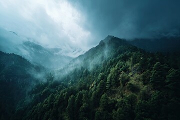 Misty mountain range, dense forest canopy