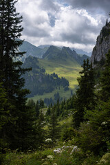 Dramatic Alpine Valley in Diemtigtal in the Bernese Alps, Switzerland