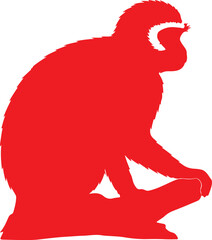 Vervet Monkey in silhouette image white backgrpound.