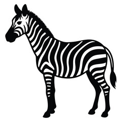 Obraz premium Black and white graphic illustration of a zebra standing animal wildlife