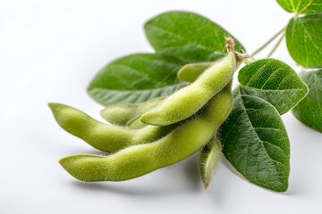 Fresh green soybean pods on white surface, emphasized textures and clarity.