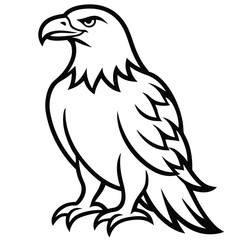 Fototapeta premium Black and white illustration of a majestic eagle perched bird wildlife
