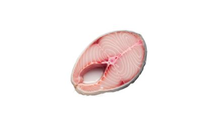 VacuumPacked Fresh Fish Steak Ready to Cook Food Photography