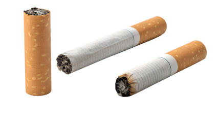 Cigarette Butts Isolated