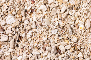 Close-up of light-colored beach sand with a mix of small, rounded pebbles—perfect for natural backgrounds, organic product displays, or tranquil seaside aesthetics.