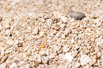 Coastal Pebbles and Fine Sand Background for Organic Themes