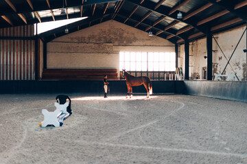 Horsewoman training a horse in a covered riding arena © Carlo Prearo